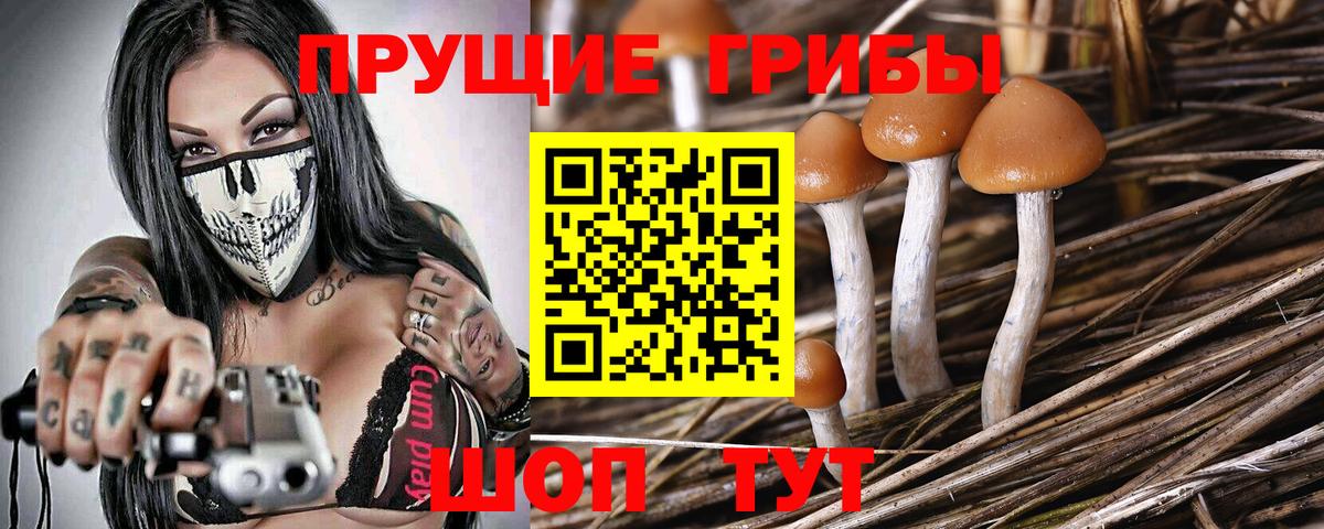 Псилоцибиновые грибы мицелий Петропавловск-Камчатский
