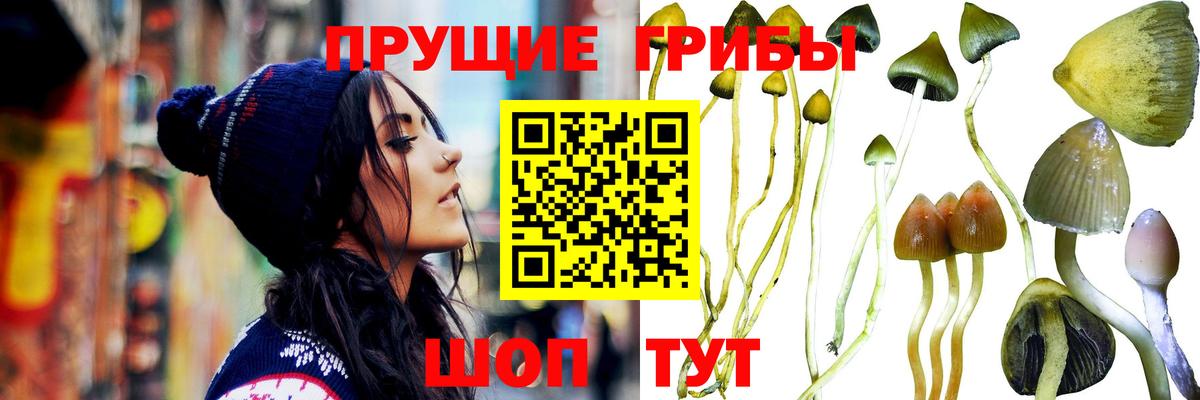 Псилоцибиновые грибы Magic Shrooms  наркотики  Петропавловск-Камчатский  Вход с VPN 